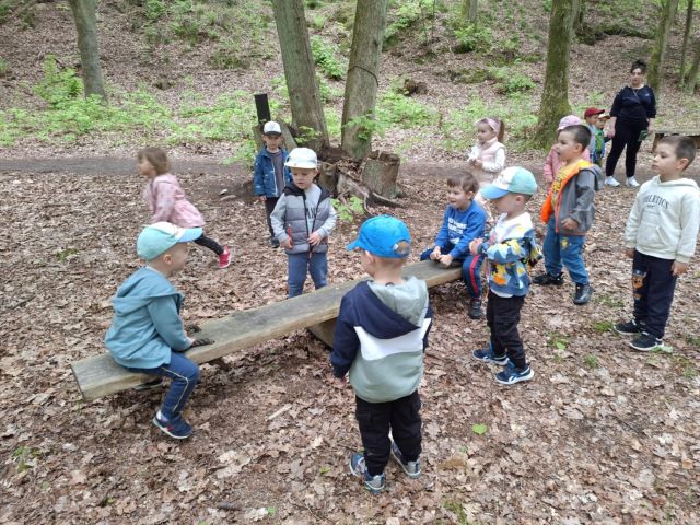 dzieci bujaja sie na drewnanej bujawce