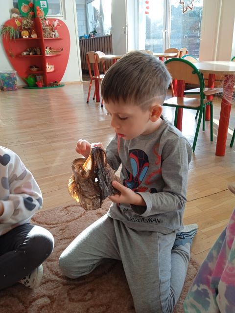 chlopiec oglada szczeke ryby