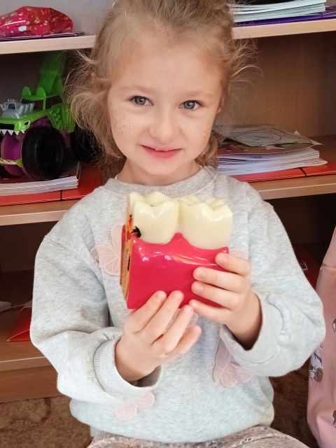 dziewczynka trzyma model zeba