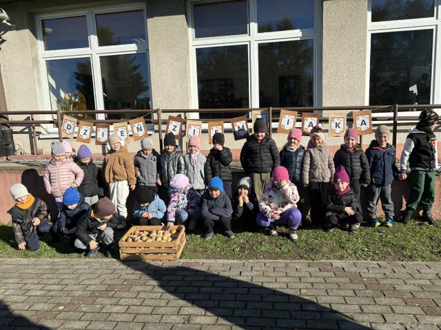 dzien ziemniaka grupowe sloneczniki