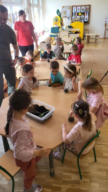 koniczynki robia lake