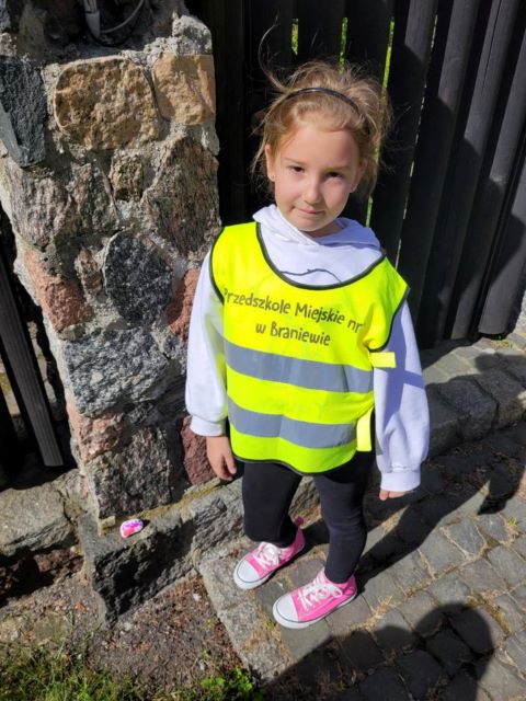 niezapominajki rozkladaja kamienie