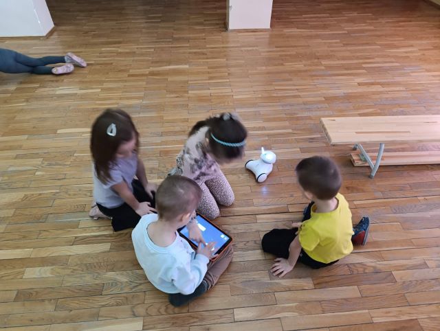 rumianki steruja robotem