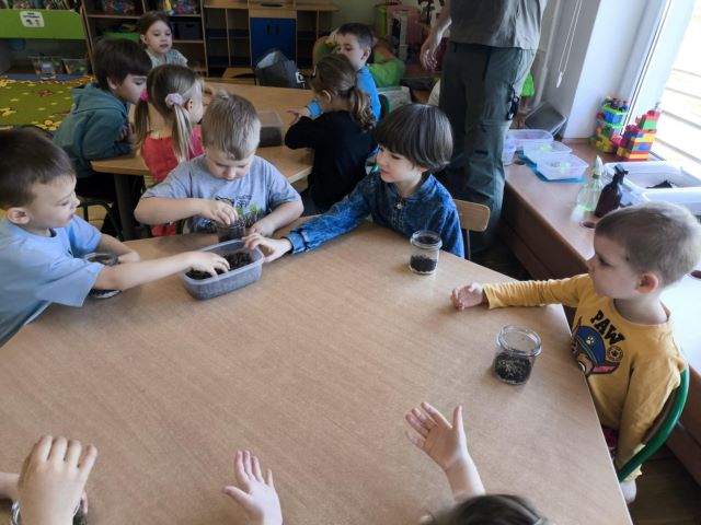 tulipanki robia lake