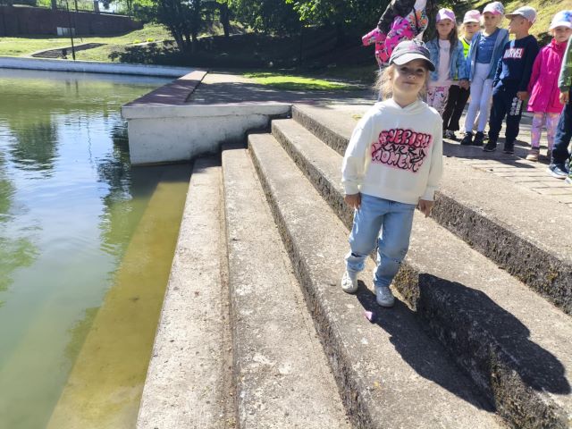 tulipanki rozkladaja kamienie