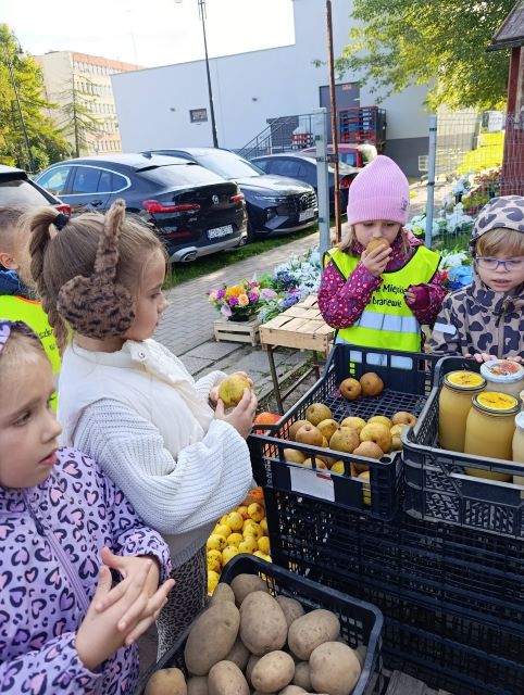 tulipanki wybieraja gruszki